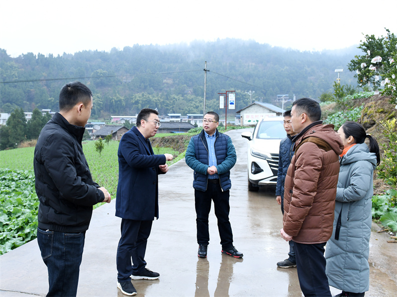 南山中学党委到三台县郪江镇帮扶村走访调研 - 四川省绵阳南山中学