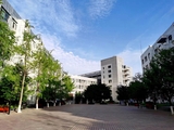 mmexport1591323425715.jpg